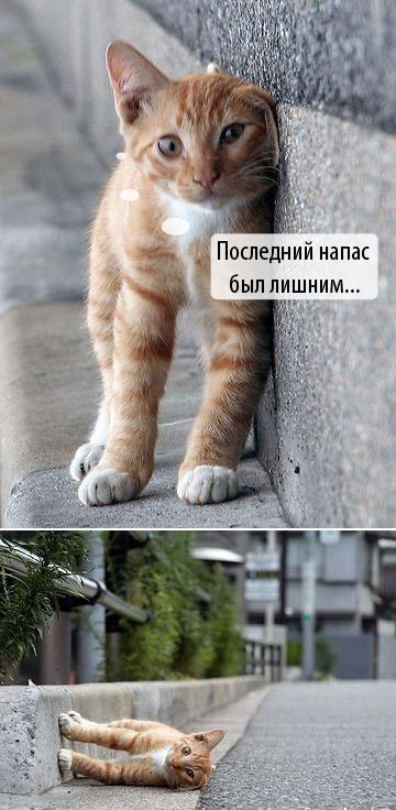 большой пикчер