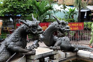 Вьетнамские драконы на страже китайского барыги